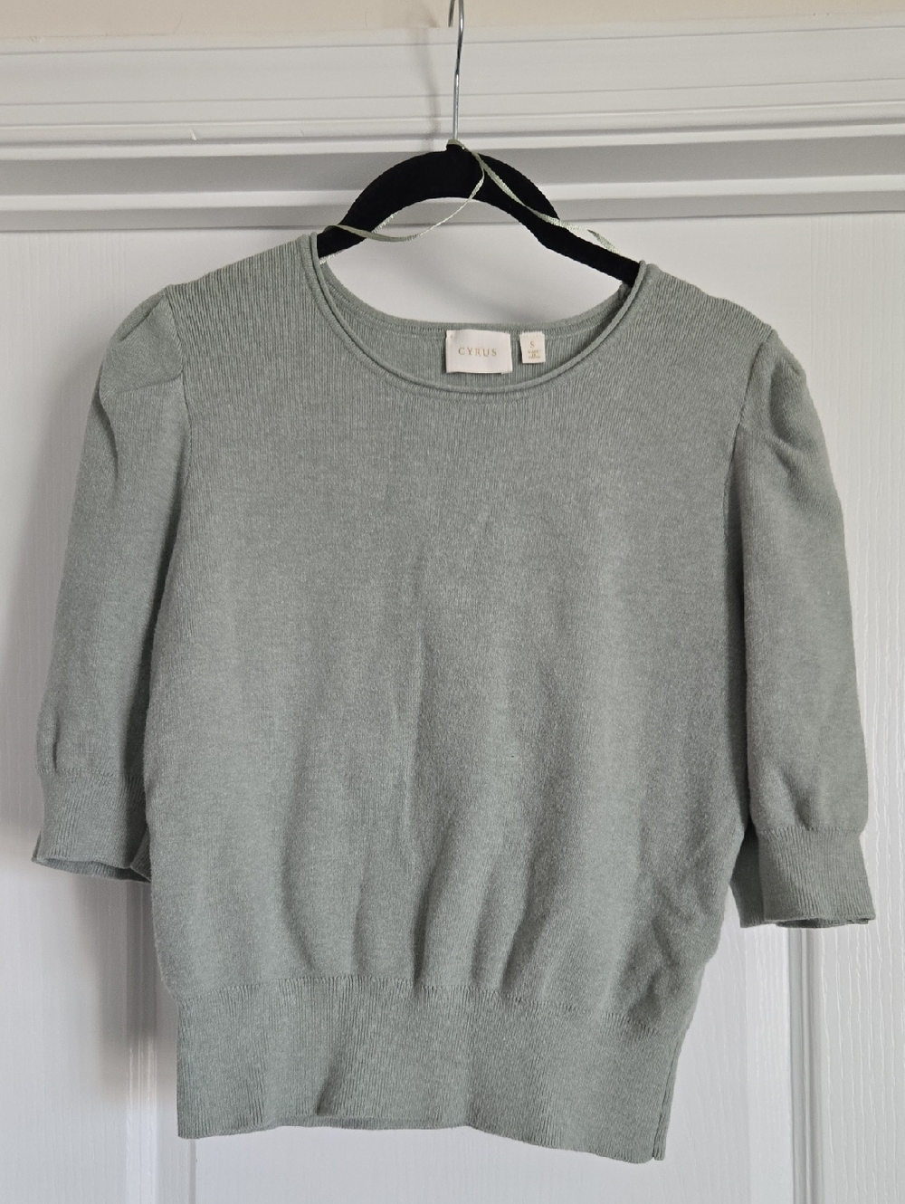 Cyrus Sweater Top 3/4 Puff Sleeve Light Sage Green Small